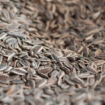 Mixed bird seed (cám chim tổng hợp)